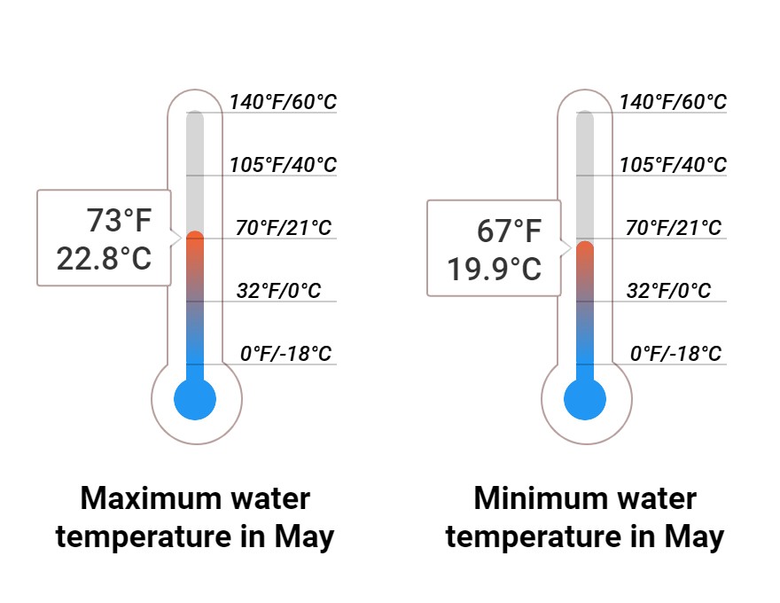 Average Sea temperature